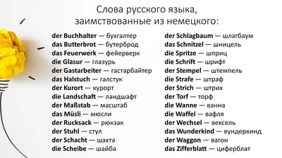 Немецкие существительные. Слова на тему: ОБУВЬ. | German words, Learn  german, German language