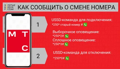 Нужен новый внешний вид? Как сменить обои на iPhone | Оскардроид112 | Дзен