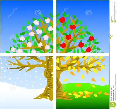 Если бы не было смены времён года, то лиственные деревья в средних широтах  были бы всегда желтыми или красными, как деревья осенью?» — Яндекс Кью