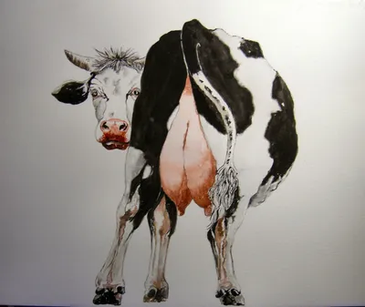 Смешная корова. стоковое фото ©julos 129628262