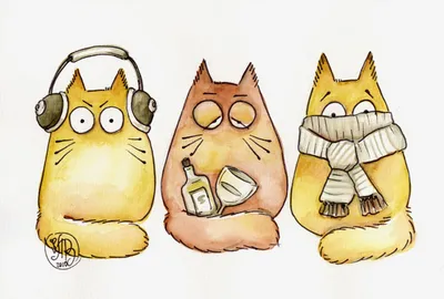 Лакшери-Котакшери. Смешные комиксы из жизни котиков и их человеков – купить  в интернет-магазине, цена, заказ online