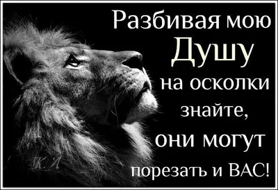 52 анекдота из Одессы в картинках | Смешно до боли | Постила