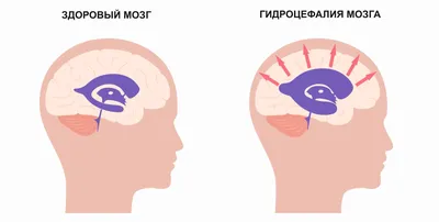 Самые смешные фотографии года