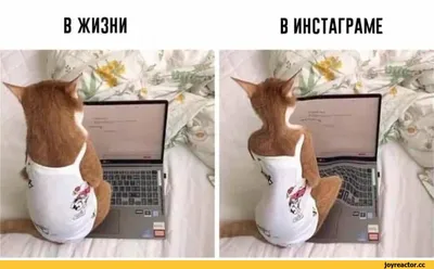 Смешные для инстаграма