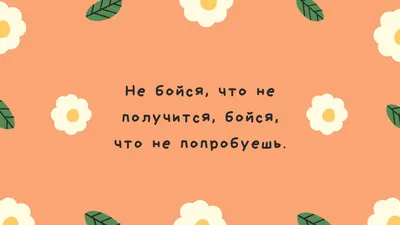 Бесплатные забавные обои на рабочий стол | Скачать шаблоны смешных обоев на рабочий  стол онлайн | Canva