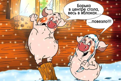 Веселые \"свинские\" картинки от художника-карикатуриста - KP.RU