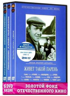 Парадокс вещевого рынка: можно за американские деньги купить у лиц  кавказской национальности итальянс… | Самые смешные цитаты, Смешные  истории, Веселые высказывания