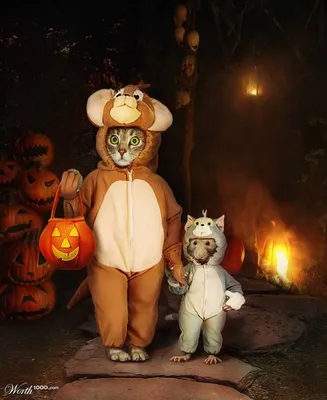 Хэллоуин близко криповое, смешное …» — создано в Шедевруме
