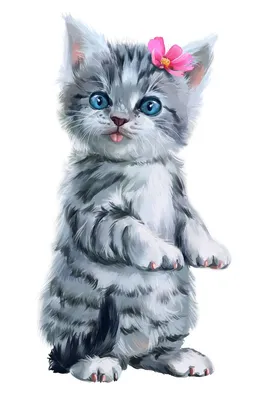 Картина на холсте Смешные коты забавный кот животные (7) 40х60 см - купить  по низкой цене в интернет-магазине OZON (1165573976)