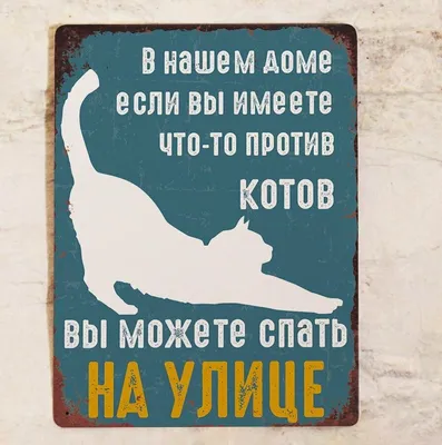 Показаны самые смешные фотографии домашних животных 2023 года: Звери: Из  жизни: Lenta.ru