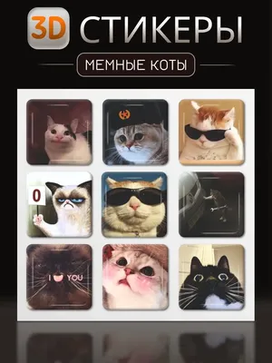 Ржу не могу😂😂😂 КОТ И ОБОИ😂😂😂 Ремонт в доме! Главный помощник😂😂😂 Смешные  коты. Funny Cats - YouTube