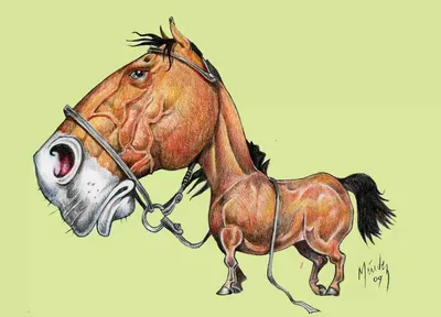 Смешные Мультфильмы Иллюстрация Сумасшедшей Лошади — стоковая векторная  графика и другие изображения на тему Лошадь - Лошадь, Бегать, Бессмысленный  рисунок - iStock