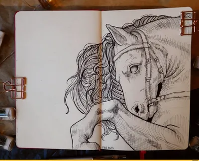 Несколько смешные лошади в влюбленности Иллюстрация вектора - иллюстрации  насчитывающей примите, шарж: 111545193
