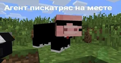 Приколы в Майнкрафте. | MINECRAFT Русское Амино Amino