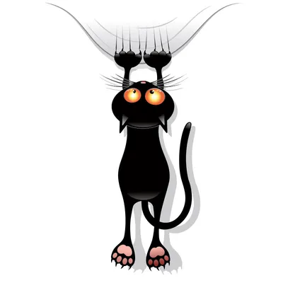 Прикольная аватарка черный кот - скачать бесплатно на SY