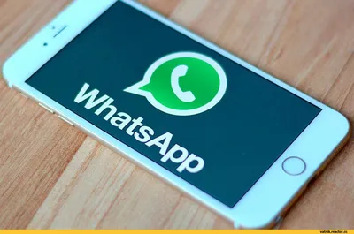 Прикольные картинки для WhatsApp (50 фото) - ФУДИ