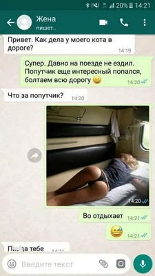 Прикольные статусы в Ватсап - 📝 Афоризмо.ru