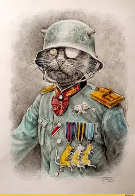 карикатуры :: военный :: котэ (прикольные картинки с кошками) / смешные  картинки и другие приколы: комиксы, гиф анимация, видео, лучший  интеллектуальный юмор.
