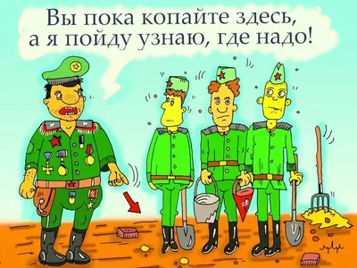 Смешные анекдоты про путина, россию и россиян - приколы, веселые картинки и  мэмы - Телеграф