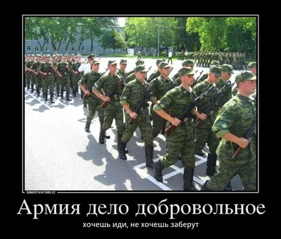 Остроумное оружие: почему в России так много военной техники с забавными  названиями — РТ на русском