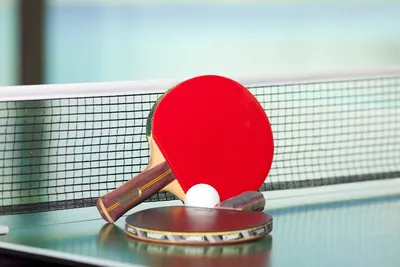 красный и синий настольный теннис или настольный теннис и три мяча лежат на  голубом фоне с закрытым мясом Стоковое Фото - изображение насчитывающей  хобби, красно: 266101852