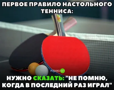 Где поиграть в настольный теннис в Киеве (фото) - afisha.tochka.net