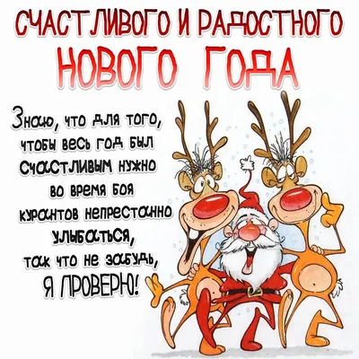 Картинка Новый год смешной Борода Санта-Клаус очках 1920x1277
