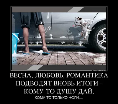 Видюшки Хохотушки - Весна #весна #природа #лес #шашлыки #смех #юмор #прикол  #позитив | Facebook