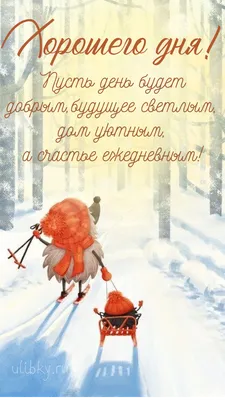 Зима: смешные открытки о холодном времени года - Новый год, снег, холод |  Обозреватель | OBOZ.UA