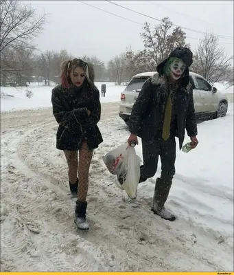 Первый день зимы (смешные фото питомцев!!!) | PetGlobals.com | Дзен