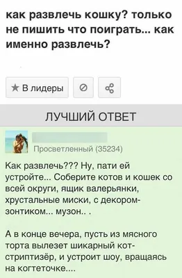 КАНАЛ: opros_ponul #telegram #опросы #опрос #рек #pyf #fypシ゚viral #rg... |  TikTok