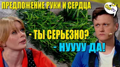 Самые нелепые и смешные предложения руки и сердца - Телеграф