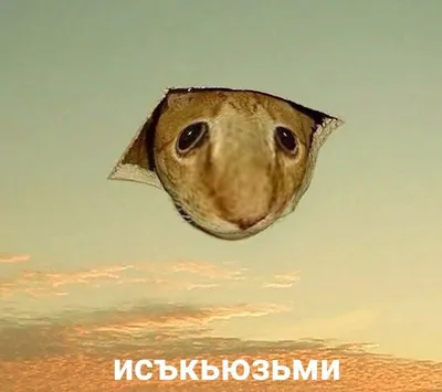 Открытка спокойной ночи с животными — Slide-Life.ru