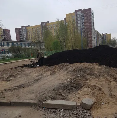 Речной песок, дачный помощник «Вонючка», недорогие семена продаются в  Петрозаводске | Фактор - новости Карелии
