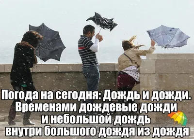 Доброе утро в дождливый день: фото настроения - snaply.ru
