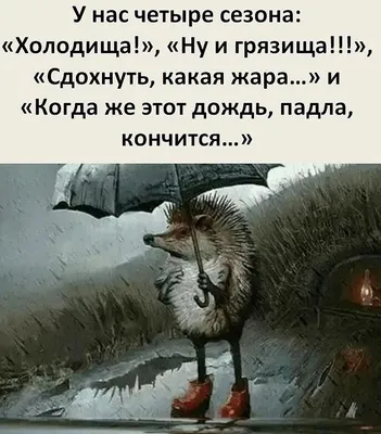 Картина по номерам ЖПН на холсте с подрамником \"Веселое настроение\",  Раскраска 40х50 см, Женщина Смешные Люди Дождь - купить с доставкой по  выгодным ценам в интернет-магазине OZON (164014653)