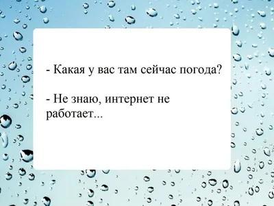 Анекдоты про погоду | 8 ЯБЛОК | Дзен