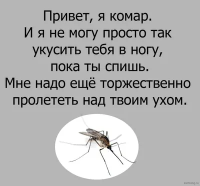Смешные про комаров