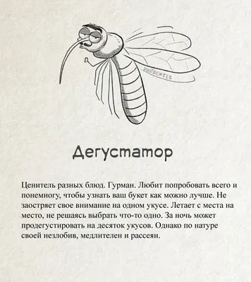 Приколы про комаров (35 картинок) | Мемы, Юмор, Жизненный юмор