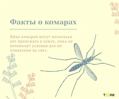 Классификация комаров | Пикабу