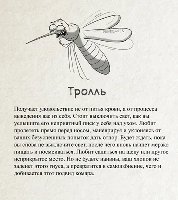 Топ-10 интересных фактов о комарах, которых вы возможно не знали - Толк  27.05.2021