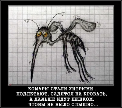 Обработка участка от комаров и клещей в Череповце: 39 дезинфекторов с  отзывами и ценами на Яндекс Услугах.