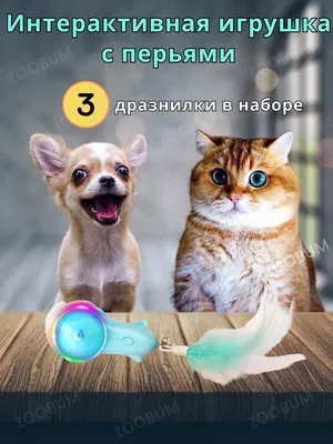 ZooBum Игрушка для кошек и собак интерактивная мышь