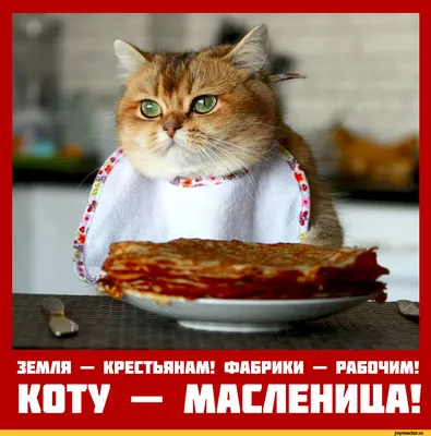 Масленица!