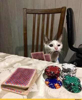 Смешные про покер