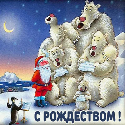 Семья уже семь лет делает смешные рождественские открытки - Новости - Дети  Mail.ru