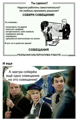 Смешные и остроумные цитаты в стильном дизайне — Canva
