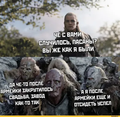 Завтра утром у нас большое совещание и если я подниму этот вопрос,  повышение точно будет моим! / buttersafe :: спячка :: повышение :: медведь  :: Смешные комиксы (веб-комиксы с юмором и их