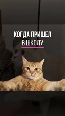 С 22 декабря по 7 января театр драмы и комедии им. В.И. Дунина-Марцинкевича  представит новогоднюю программу | MogilevNews | Новости Могилева и  Могилевской области
