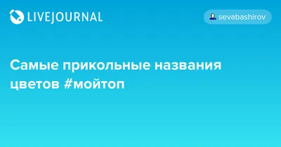 Топ-10 самых смешных названий растений - 25 августа, 2023 Статьи «Кубань 24»